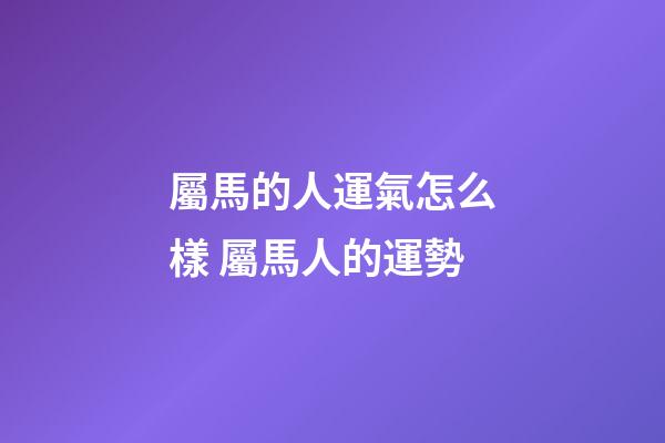 屬馬的人運氣怎么樣 屬馬人的運勢-第1張-觀點-玄機派